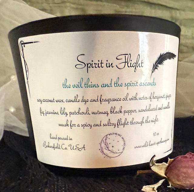 New! Fall Candles! Available 9/20/25