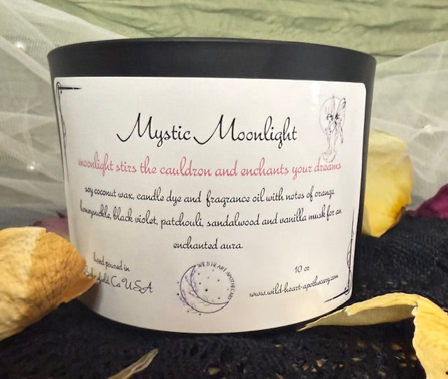 New! Fall Candles! Available 9/20/25