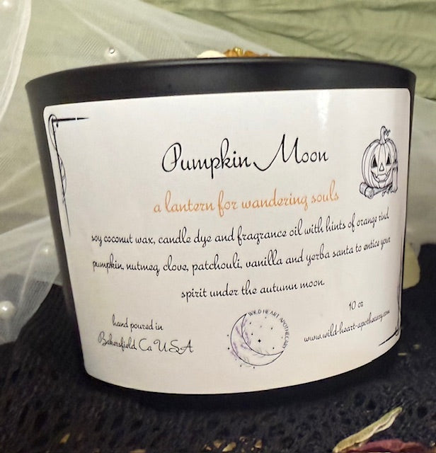 New! Fall Candles! Available 9/20/25